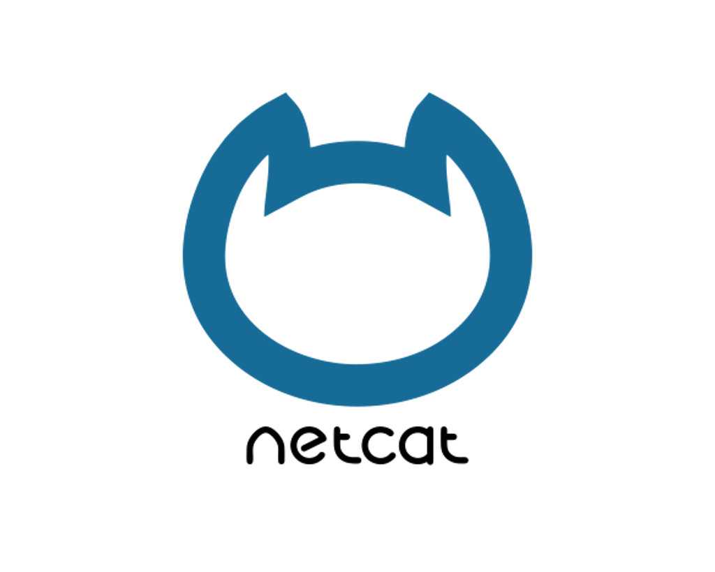 Продвижение сайта на NetCat